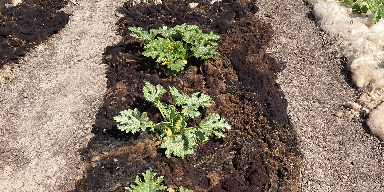Natuurboerderij Lindehoeve Dalfsen