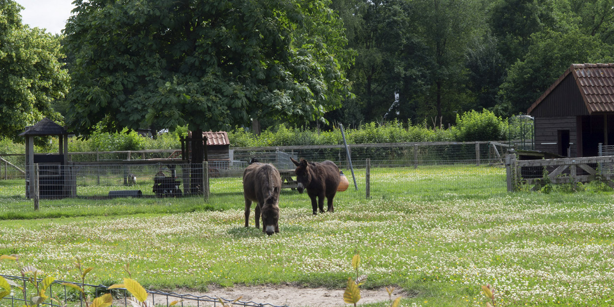 Natuurboerderij Lindehoeve Dalfsen