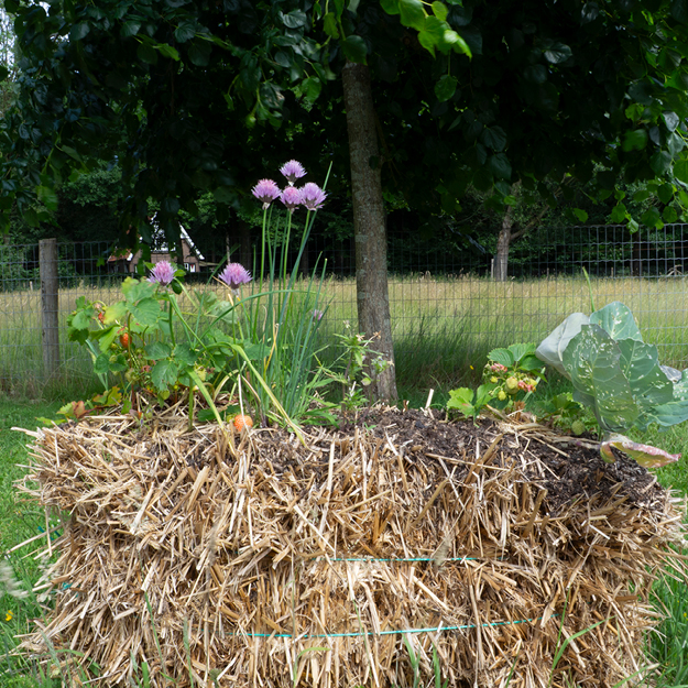 tuinen Natuurboerderij Lindehoeve